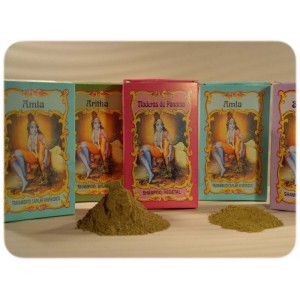 Champ vegetal Madeiras de Panam 100g - Radhe Shyam