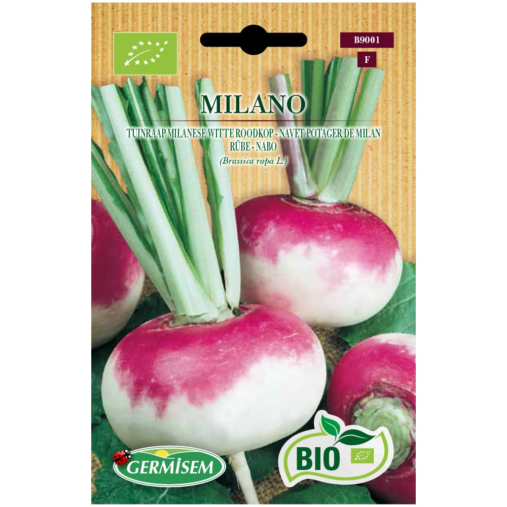 Sementes de Nabo Milano BIO
